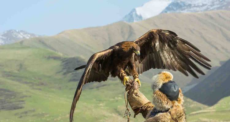 Person holding an eagle against a mountain backdrop.