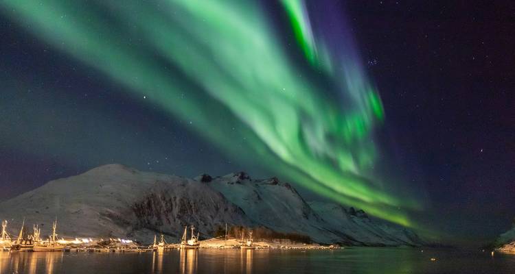 Les aurores boréales vertes et violettes dansent au-dessus d'un port enneigé entouré de montagnes sombres.
