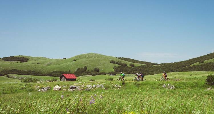 Cyclistes roulant sur un sentier dans un paysage verdoyant.