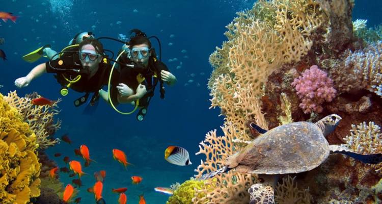Scuba divers exploring a vibrant coral reef with fish.