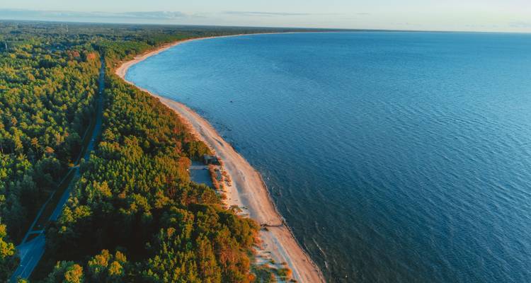 Luchtfoto van een lange zandkust omgeven door dicht groen bos en blauwe zee.