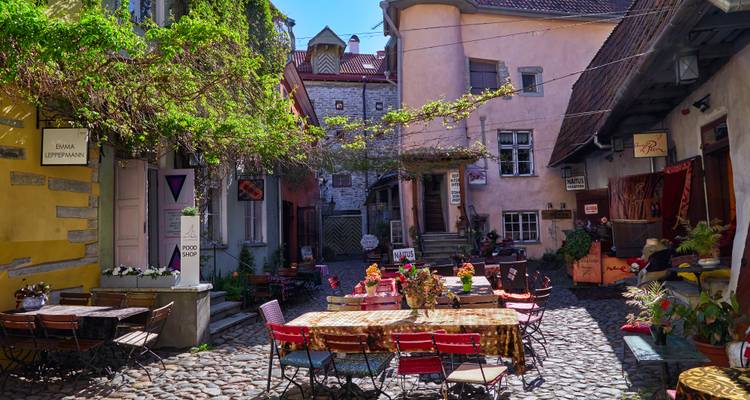 Charmante kasseiensteeg omzoomd door klimop-behangen cafés en kleurrijke stoelen die in het zonlicht liggen.