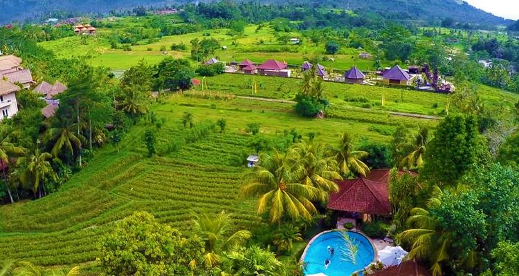 Luftaufnahme einer üppigen Landschaft mit einem Pool und Häusern.