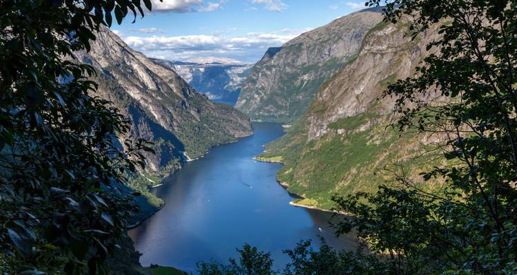 Encadré par le feuillage, un fjord bleu profond serpente entre des parois de falaises imposantes en direction de champs de neige lointains.