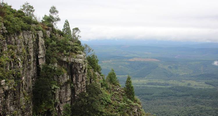 Sheer green-covered cliff and expansive Lowveld valley view from God's Window in the Blyde River Canyon area.