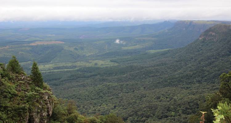 Wide vista over lush forests, rolling hills and distant escarpment in Mpumalanga’s highlands.