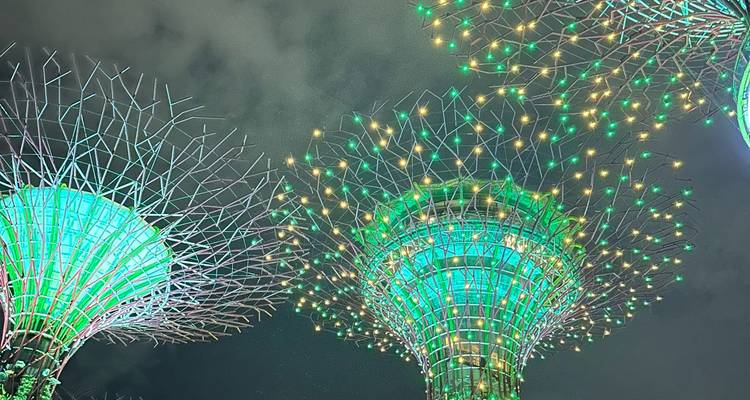 Supertrees verts lumineux des Gardens by the Bay illuminés contre le ciel nocturne