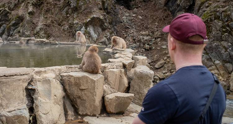 Person observing macaques relaxing near a hot spring.