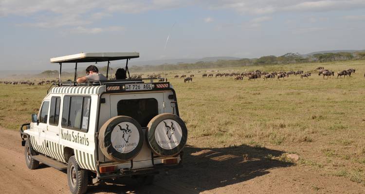 Tourists photographing wildebeest from an open-top safari jeep driving along a dusty track.