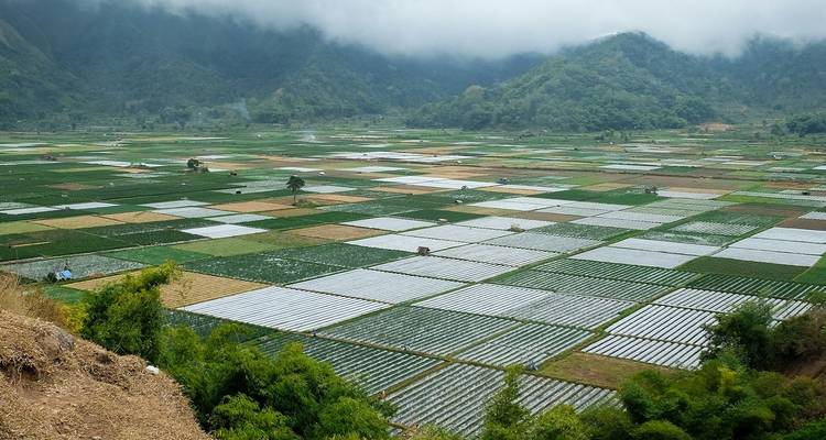 Mosaico de parcelas de tierra de cultivo rectangulares extendiéndose por un valle montañoso envuelto en niebla.