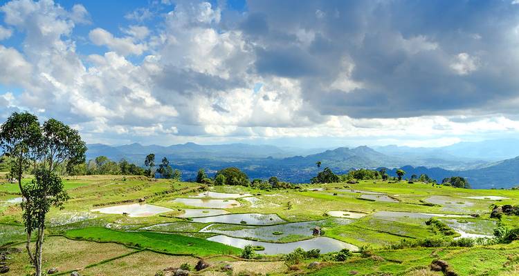 Enormes terrazas de arroz en las tierras altas llenas de agua reflectante bajo un cielo nublado dramático y picos distantes.