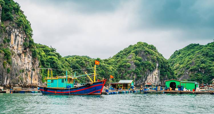 Des bateaux de pêche vietnamiens colorés ancrés dans une baie calme entourée d'îles calcaires luxuriantes.