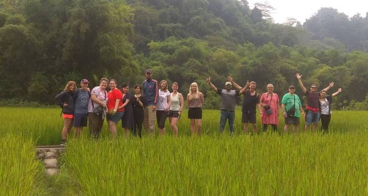 A cheerful tour group poses in the middle of a vibrant rice field backed by dense forested hills.