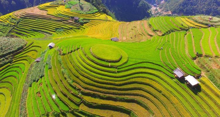 A vivid aerial view of concentric rice terraces and scattered huts carved into rolling green mountains.