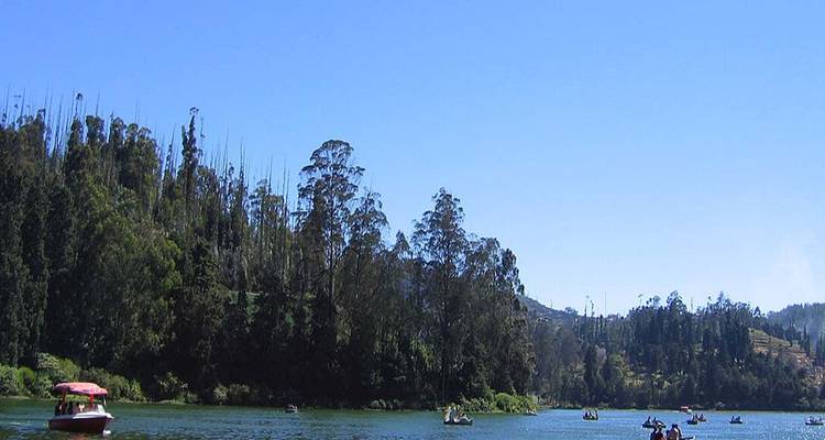 Lake with boats and trees under a blue sky.