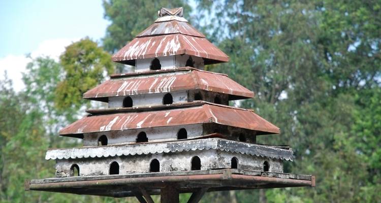 Decorative birdhouse in a garden