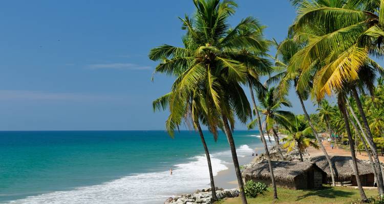 Beach with palm trees and huts