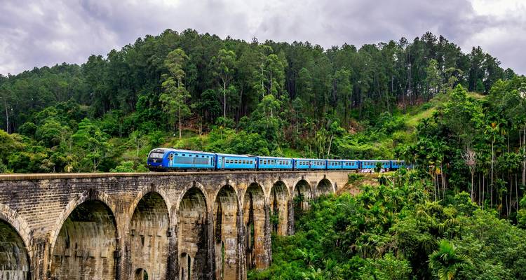A train crossing a high arched bridge over a lush forest.