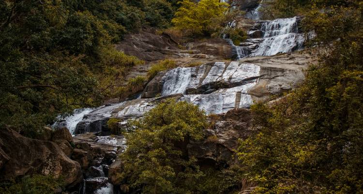 A cascaded waterfall in a lush forest setting.
