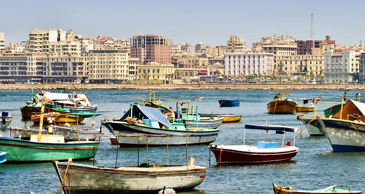 Kleurrijke houten vissersboten drijven in een drukke mediterrane haven met de skyline van Alexandrië op de achtergrond.