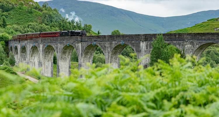 Un tren cruzando un viaducto escénico.