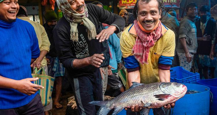 Group of people at a fish market, one person holding a large fish.
