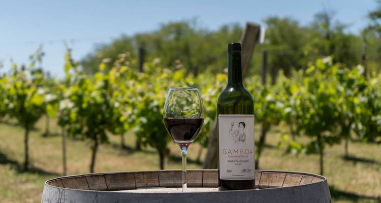 A glass and a bottle of wine on a barrel in a vineyard.