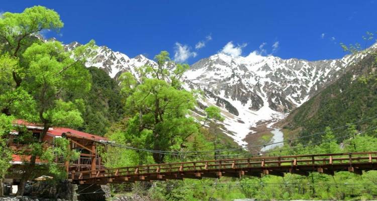Puente de madera con vista a montañas nevadas y árboles frondosos.