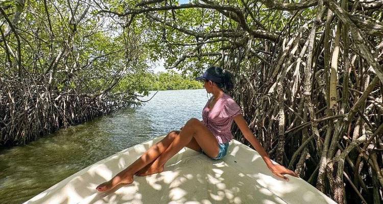 Woman on a boat in a tranquil mangrove area.