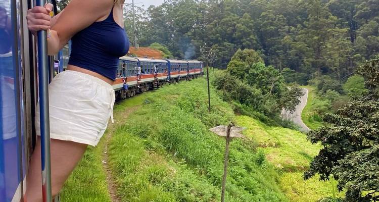 Woman enjoying a scenic train ride along greenery.