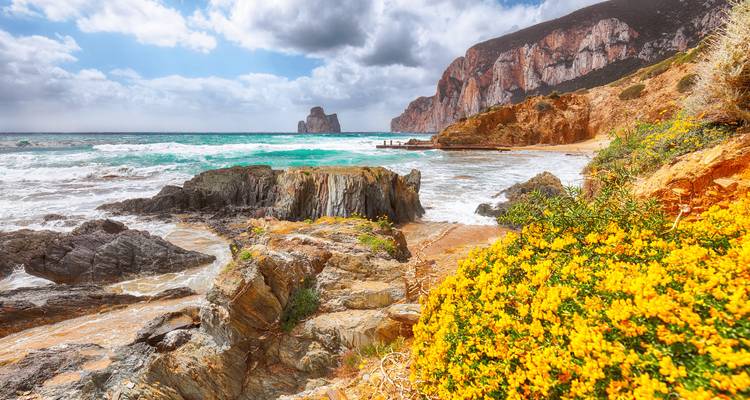 Paysage côtier avec falaises rocheuses et fleurs sauvages.