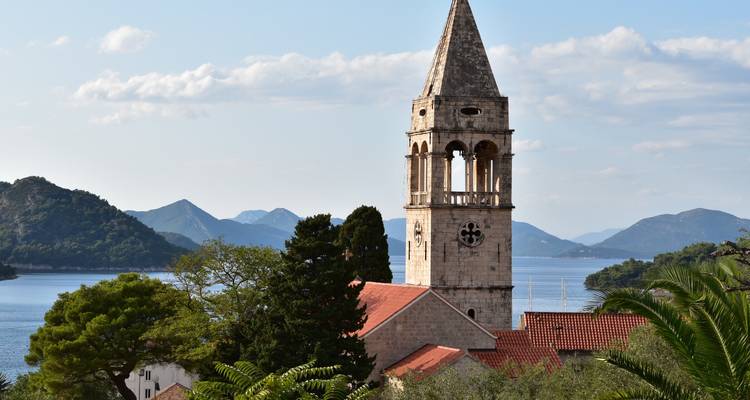 Church tower rising above a village with a mountainous background.