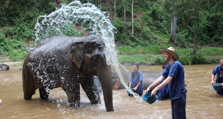 Toeristen die water spetteren op een olifant terwijl deze baadt in een junglerivier.