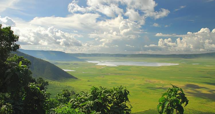 Vast plains and a crater with a mix of vegetation.