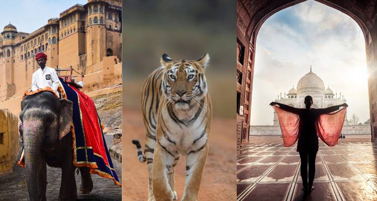 Collage de jinete de elefante, tigre y silueta en el Taj Mahal.