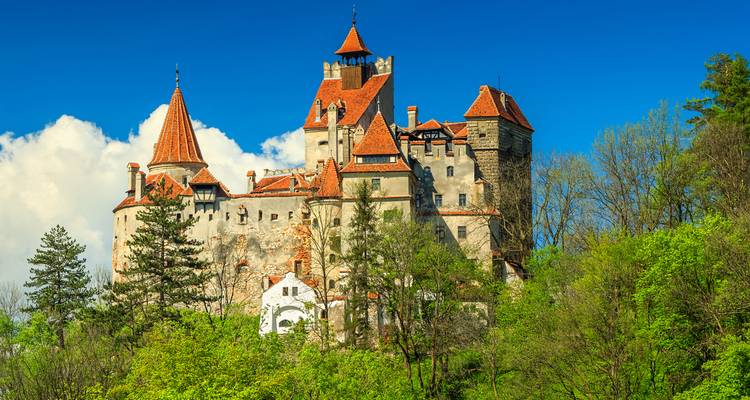 Famous castle surrounded by lush greenery under a blue sky.