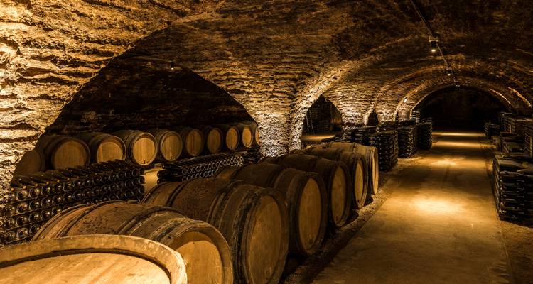 Filas de barriles de vino en una bodega subterránea.