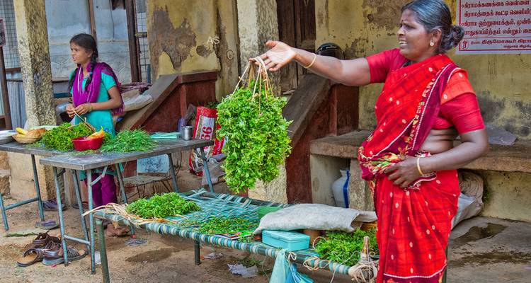 Women selling herbs at an outdoor market.