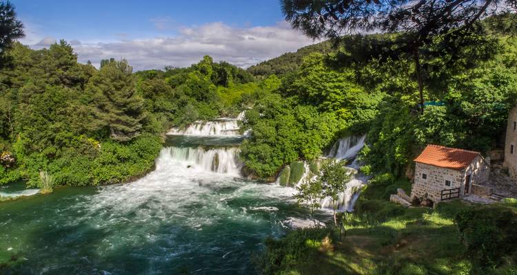 A vibrant waterfall in a lush green forest environment.
