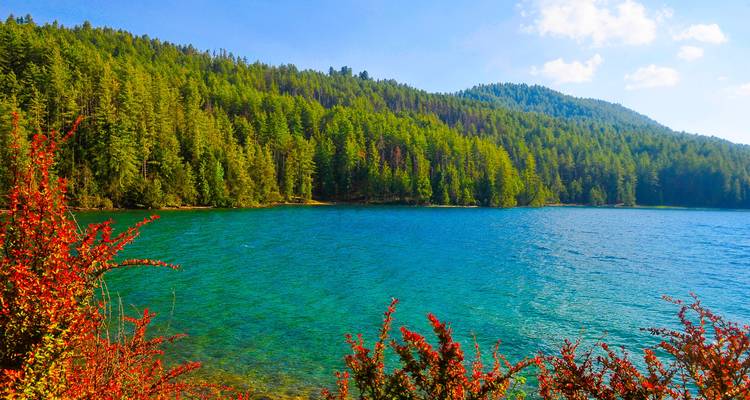 Colorful foliage near a vibrant blue lake.