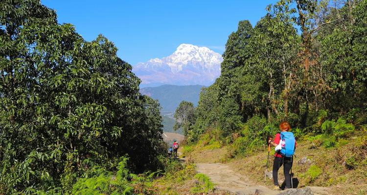 Hikers walking along a trail with mountains in the background.