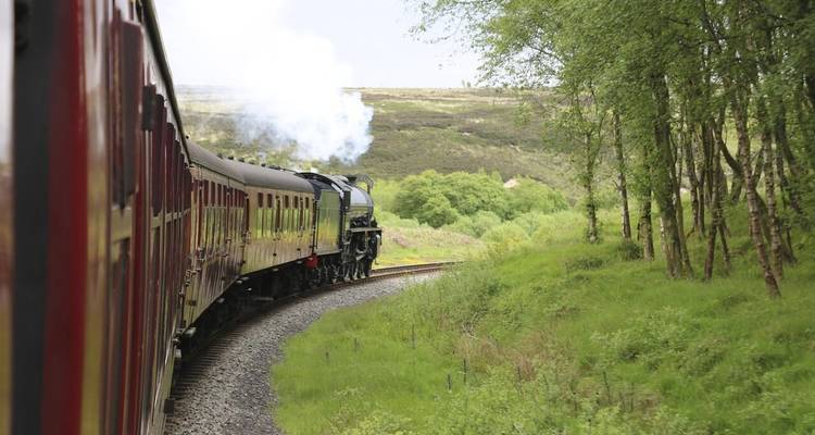 Dampfzug fährt durch eine üppige, grüne Landschaft.