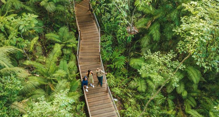 Luchtfoto van houten loopbrug die kronkelt boven weelderig groen regenwoudgebladerte met wandelaars die zwaaien