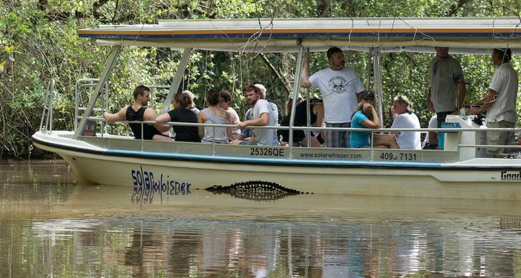 Tourists sit and stand on a covered flat-bottomed boat cruising through a muddy mangrove river.
