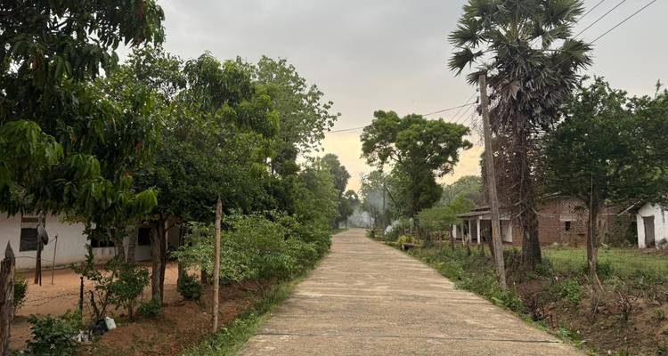 Un sentier rural avec de la verdure et de petites structures de chaque côté.