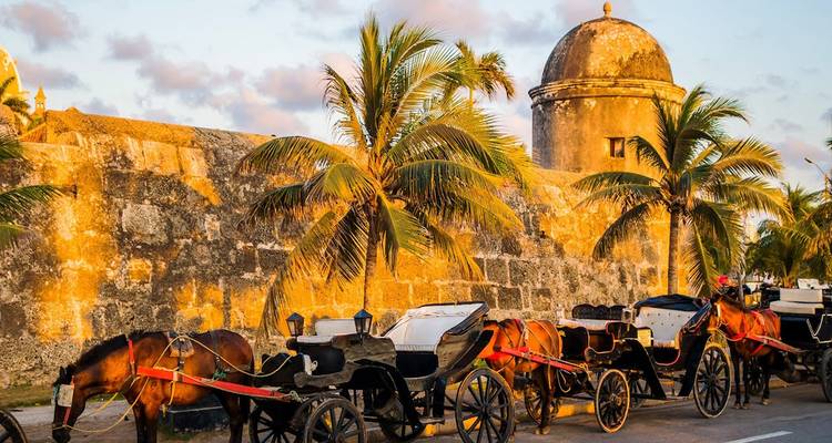 Calèches tirées par des chevaux le long d'une rue ensoleillée avec des palmiers et des murs de pierre.