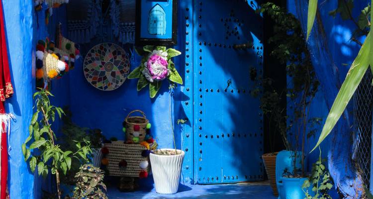 Une porte peinte en bleu vif avec des plantes et des objets décoratifs.