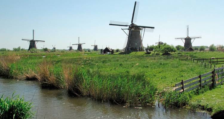 Blick auf mehrere Windmühlen in ländlicher Umgebung.