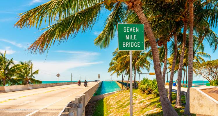 Uitzicht op de Seven Mile Bridge met palmbomen en oceaan.