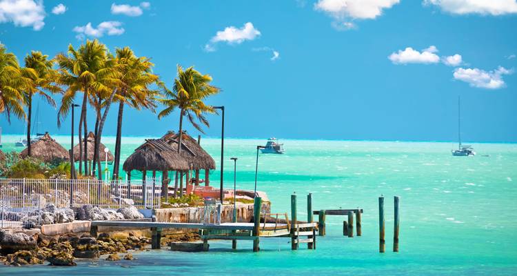 Tropisch strandtafereel met palmbomen, hutten en turquoise water.
